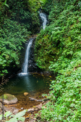 San Luis waterfall in a cloud forest of Reserva Biologica Bosque Nuboso Monteverde, Costa Rica