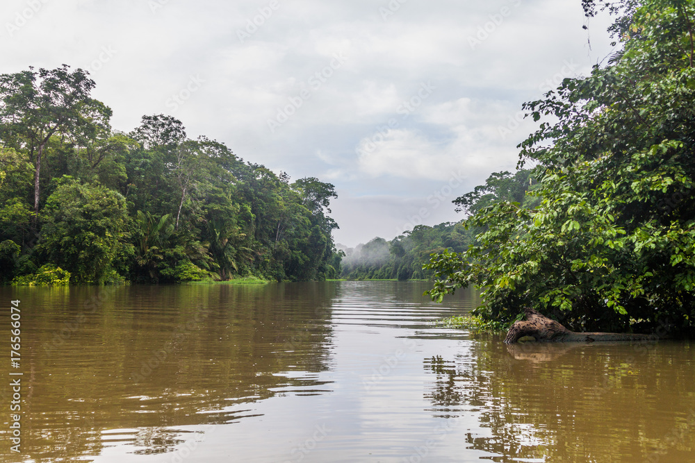 River and jungle in Tortuguero National Park, Costa Rica River and jungle in Tortuguero National Park, Costa Rica