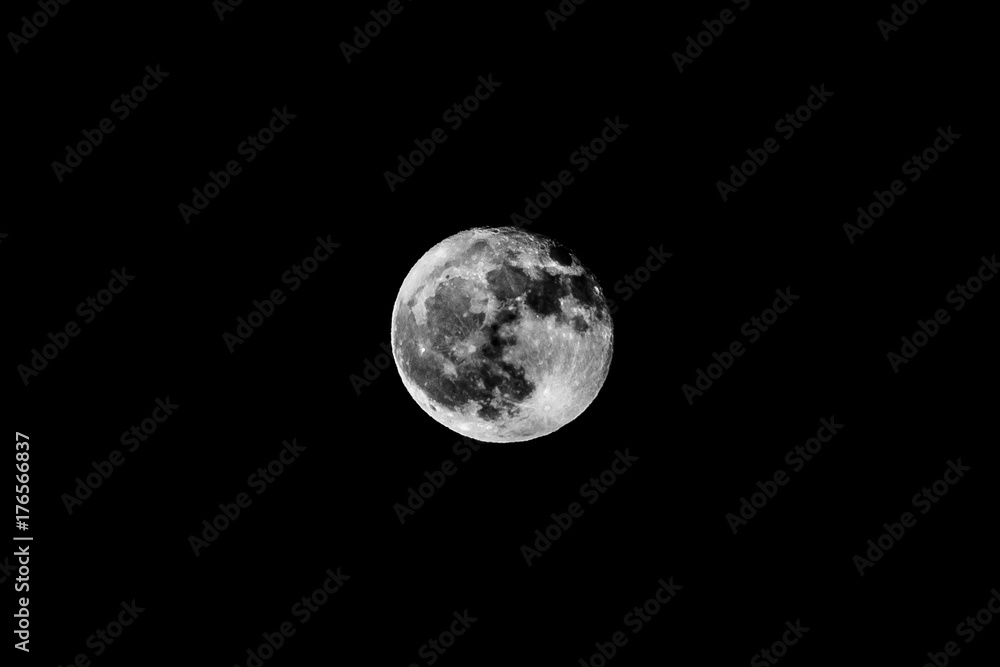 Fototapeta premium Moon