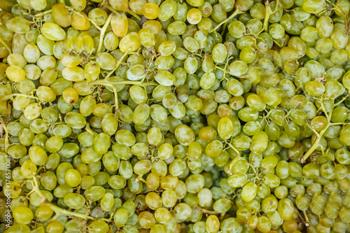 grapes background