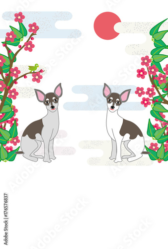 おしゃれな犬と梅の花の和風イラストポストカード Stock Illustration Adobe Stock