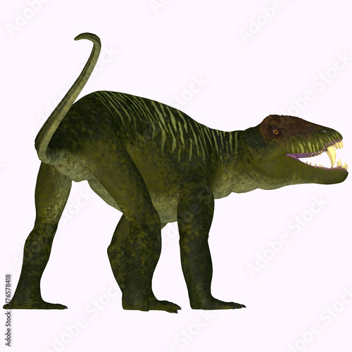 Fototapeta Naklejka Na Ścianę i Meble -  Doliosauriscus Dinosaur Tail - Doliosauriscus is an extinct genus of therapsid carnivorous dinosaur that lived in Russia in the Permian Period.