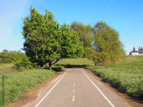 Wallpaper Mural OLYMPUS DIGITAL CAMERA Torontodigital.ca