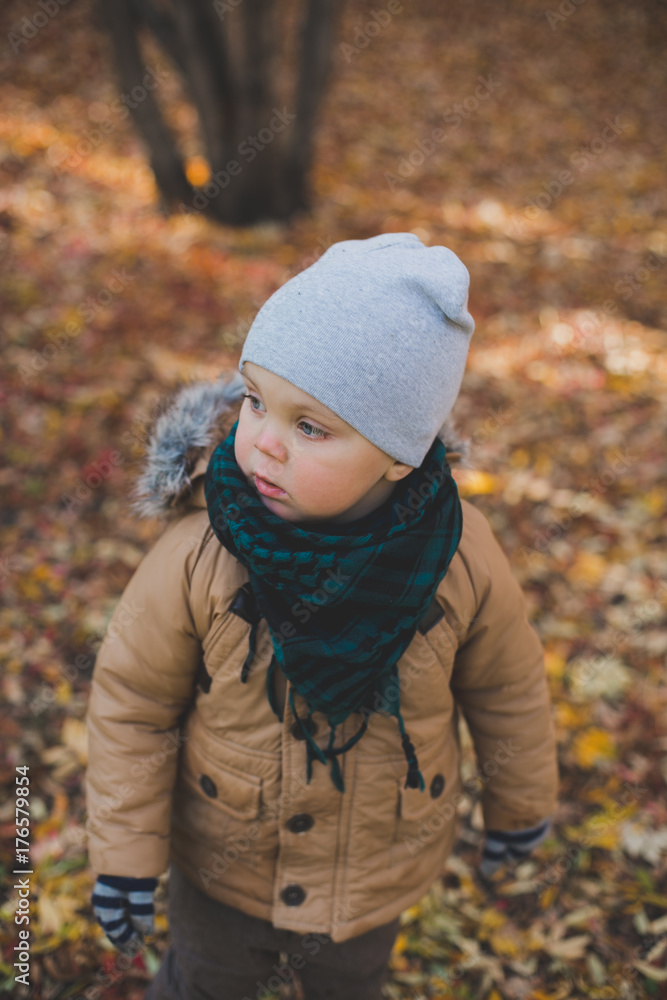 a little boy playing in autumn forest, collecting leaves