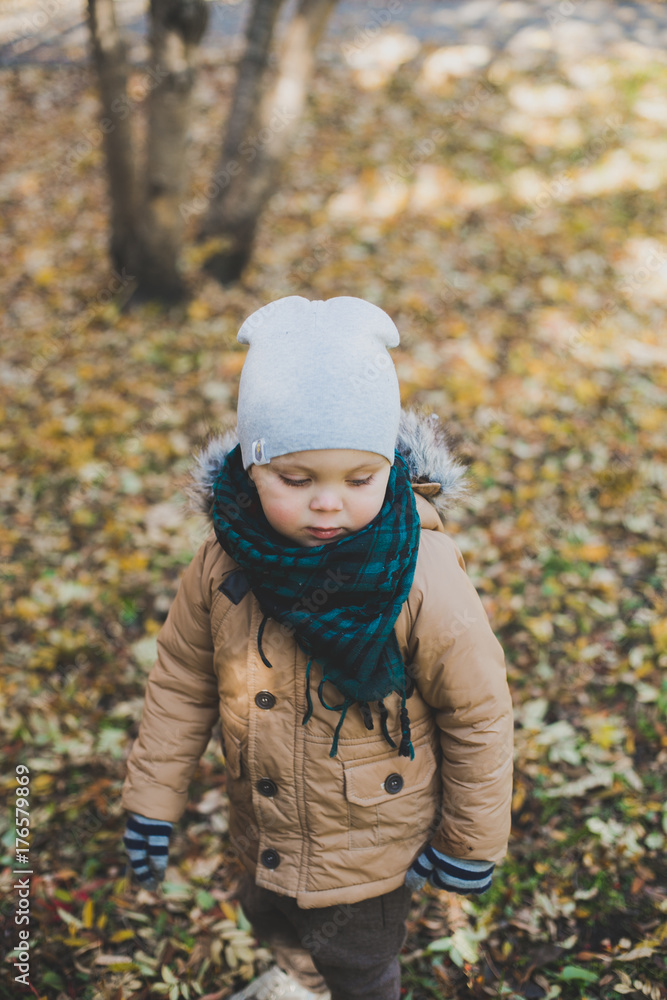a little boy playing in autumn forest, collecting leaves a little boy playing in autumn forest, collecting leaves