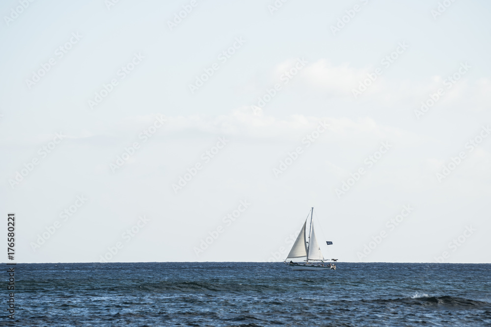 One sail on the ocean