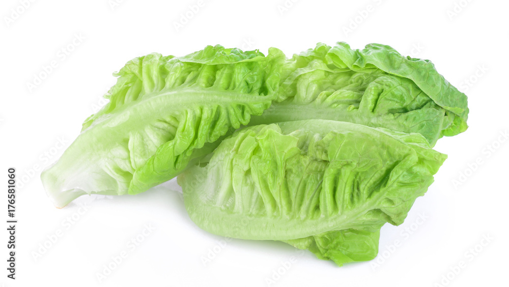 fresh baby cos (lettuce) on white background fresh baby cos (lettuce) on white background