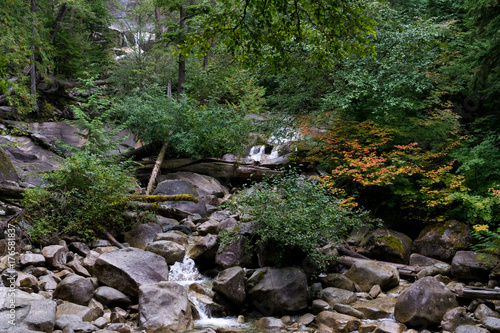 Foliage Near the Stream at Shannon Falls photo