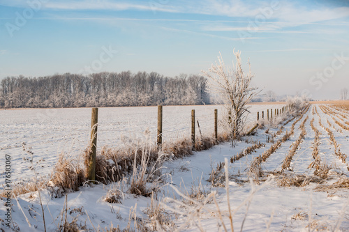 Snowy Field with Fence