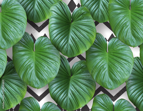Tropical green leaves pattern Fresh and real nature Abstract background