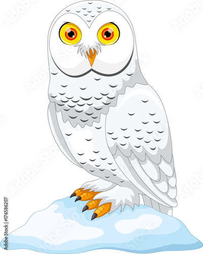 Vector Illustration of cartoon Arctic owl isolated on white background