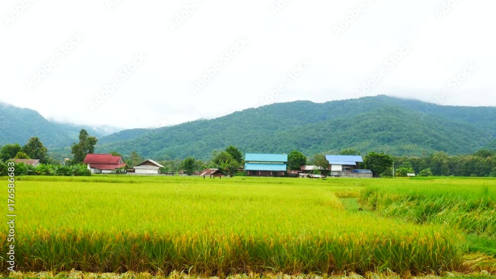 View green rice with mountain in Nan Thailand. View green rice with mountain in Nan Thailand.