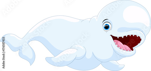 Vector Illustration of cartoon Beluga whale isolated on white background