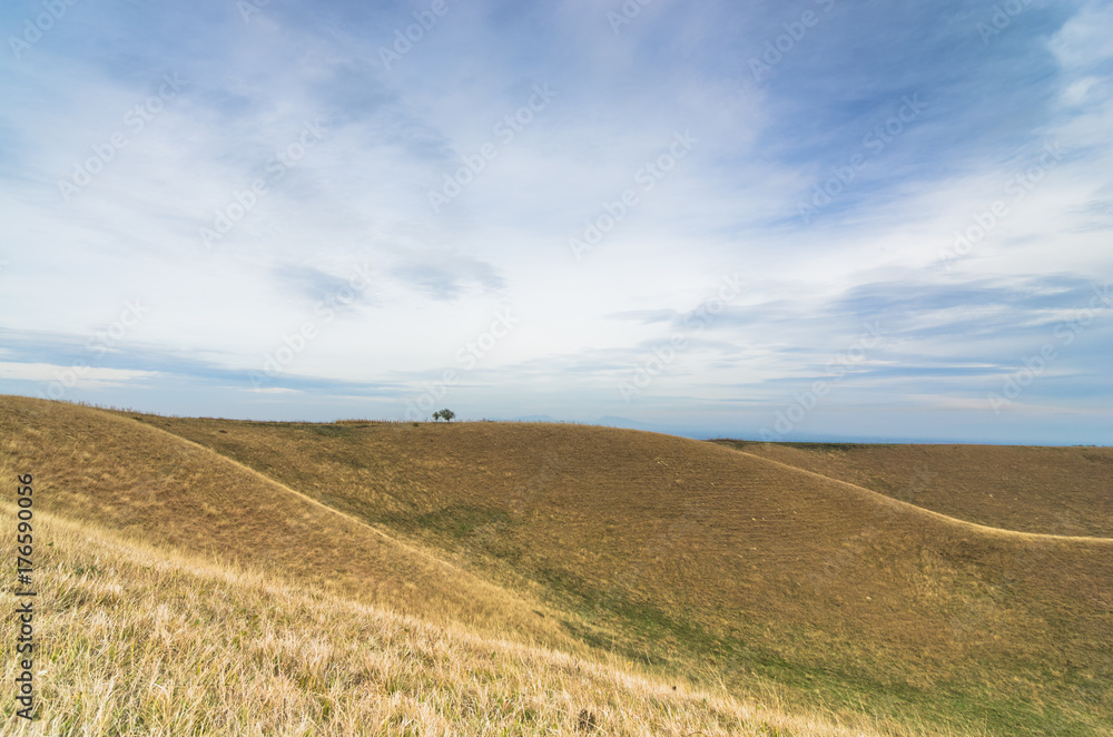 Hills covered with yellow grass under dark clouds, north Serbia