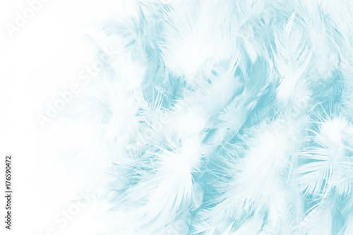 green turquoise vintage color trends chicken feather texture background 