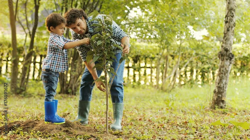 Closeup. Portrait of a little boy and his dad planting a tree. Dad come up to his son and explains something. They touch the leaves. Blurred background Closeup. Portrait of a little boy and his dad planting a tree. Dad come up to his son and explains something. They touch the leaves. Blurred background