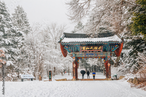 Asian temple Odaesan Woljeongsa with fir tree road of snowy winter in Korea