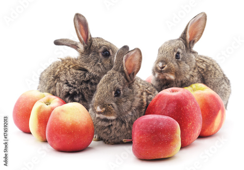 Young rabbits and red apples.
