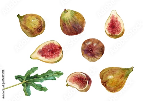 Figs. Set fruits and leaf. Watercolor..