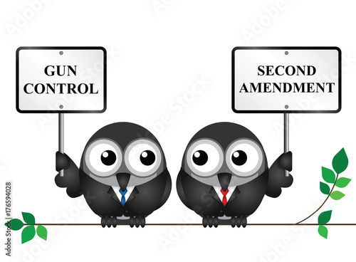 Gun control verses the USA second amendment and the right to keep and bear arms