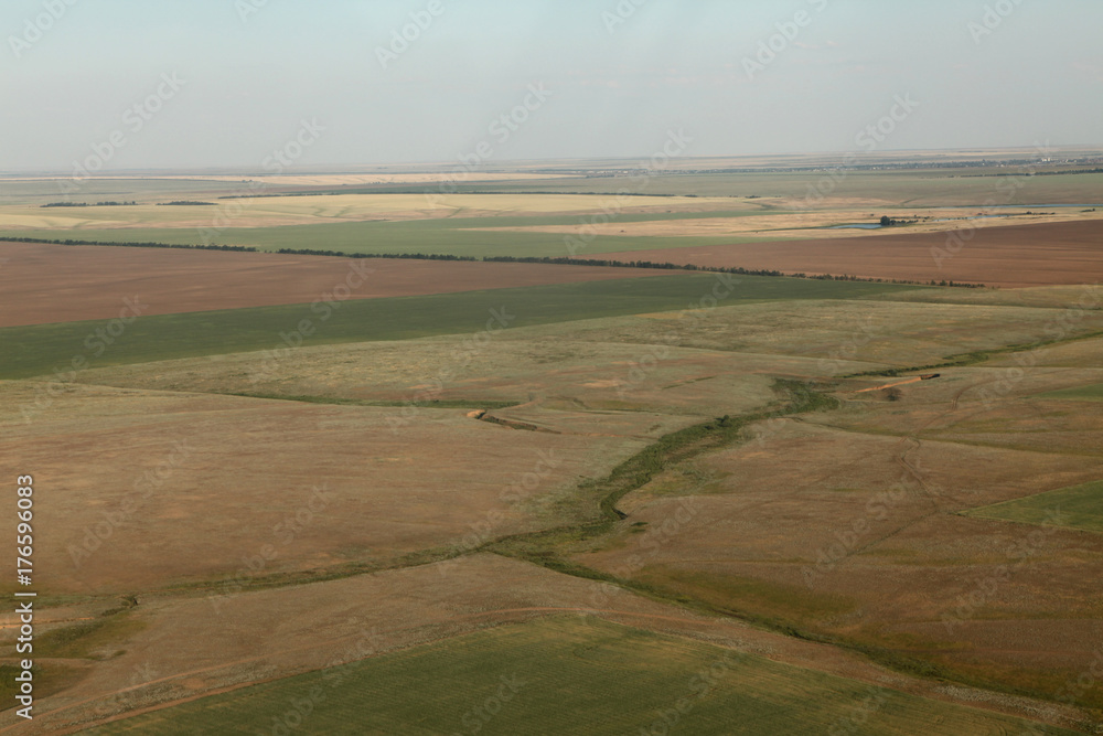wheat fields wheat fields