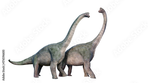 Brachiosaurus altithorax couple