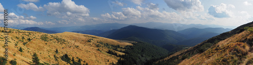 Mountains Karpaty and yellow hills with green forest panorama © Sergii Mironenko