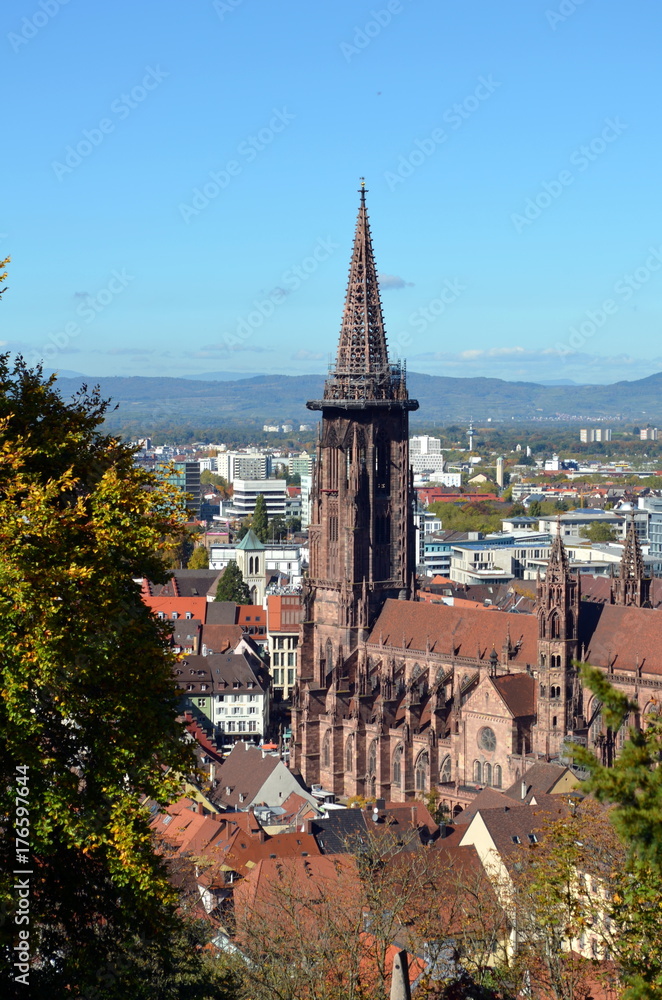 Freiburger Münster im Herbst