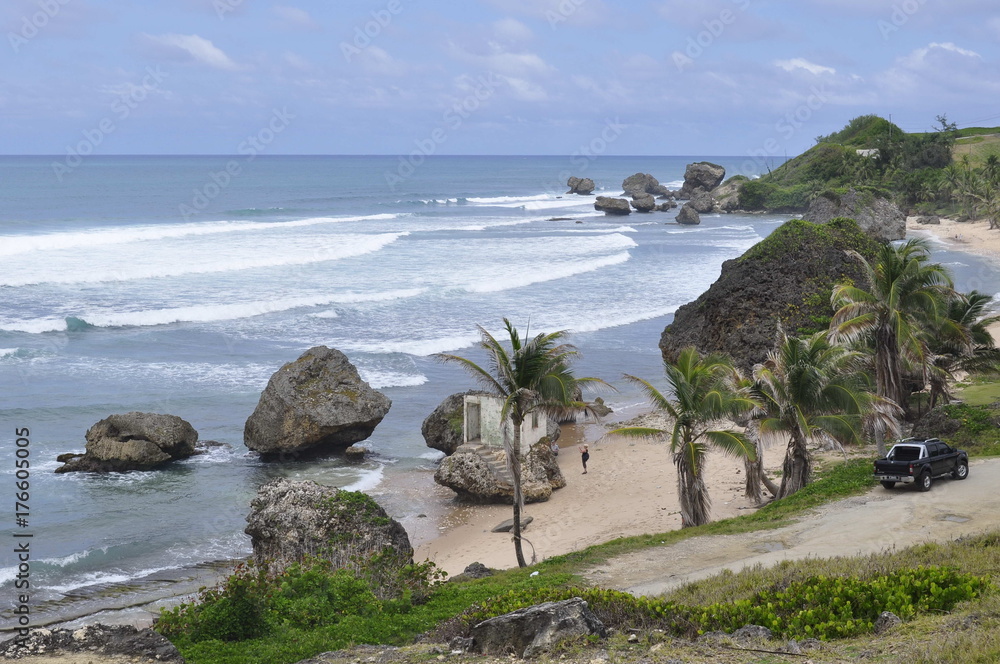 Obraz premium Coastline in Barbados