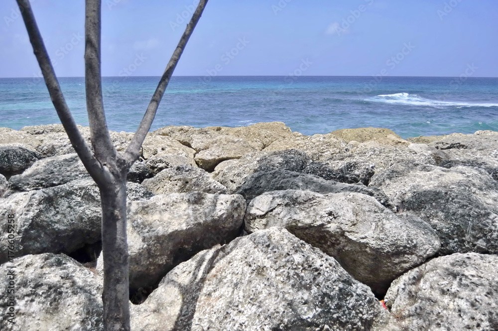 Rocky Coastline in Barbados