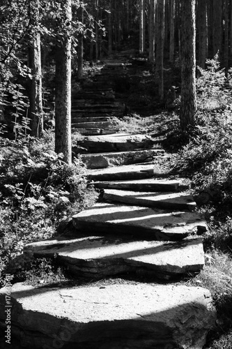 Sherpa stair in a Norwegian forest.