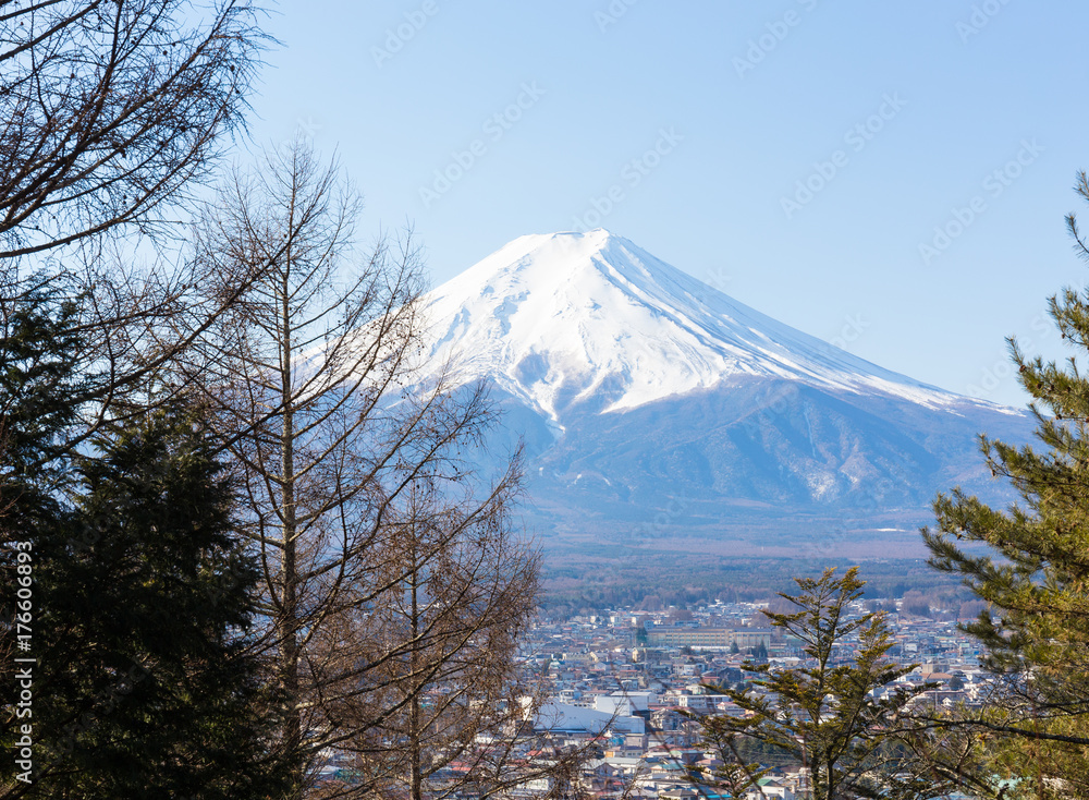 Fuji mountain, tree foreground and city below Fuji mountain, tree foreground and city below