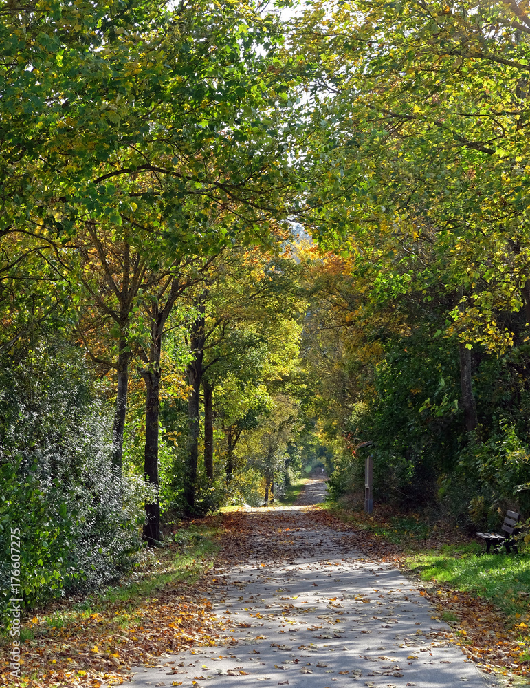 Fahrradweg im Herbst Fahrradweg im Herbst