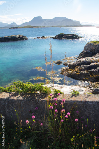 Turquoise water surrounded by mountains and red clovers.