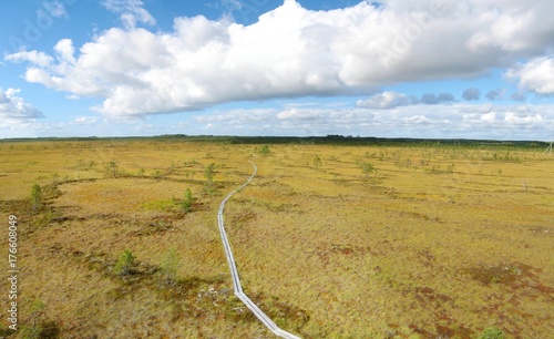 Wooden hiking trail through a bog in Finland