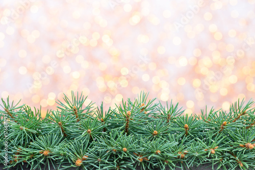 Christmas tree branches on a shiny background.