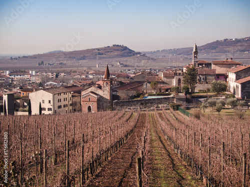 Winter landscape of Soave (Italy) surrounded by vineyards.