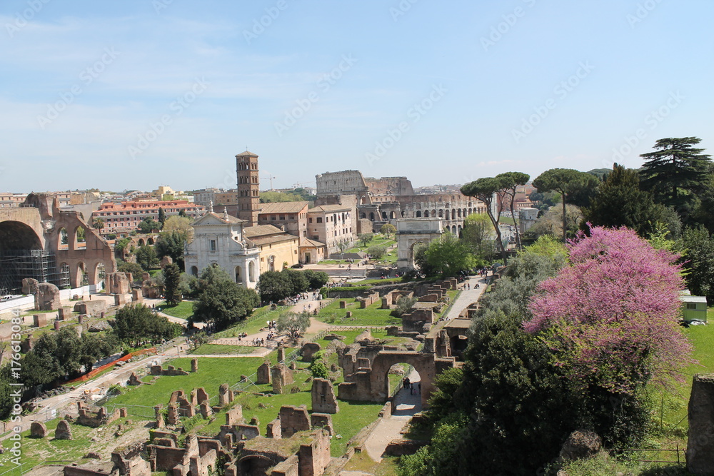 Fototapeta premium rome