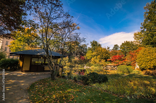 Setagaya Park im Herbst photo