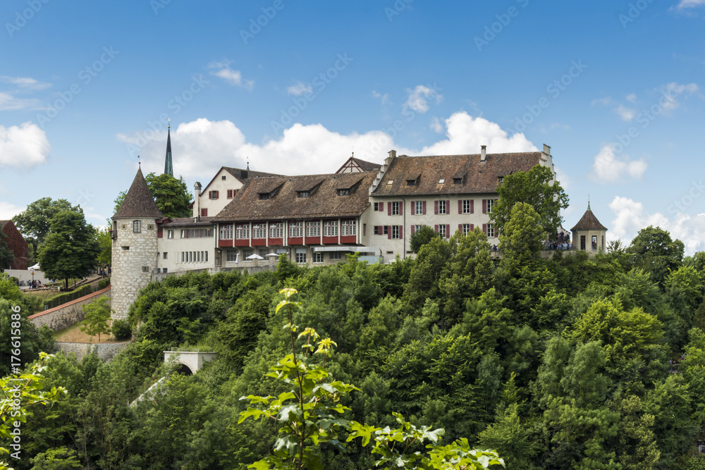 View of Castle Laufen over the Rhine Falls, Rheinfall, in Canton Zurich, Switzerland