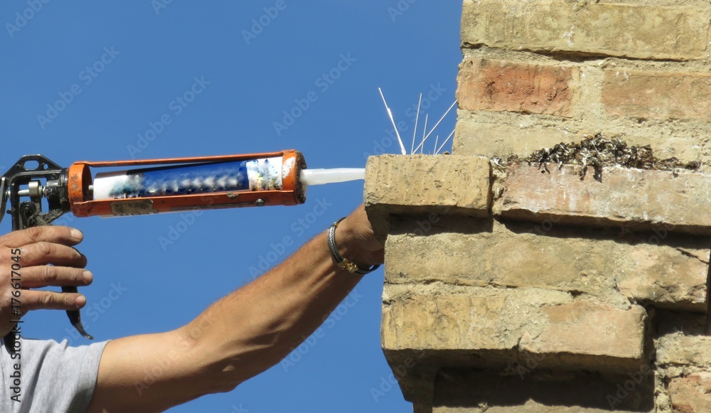 Obraz premium deterrent for pigeon