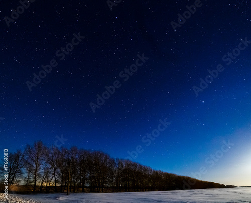 Winter the starry sky above the trees. The moon lights up the snow field.