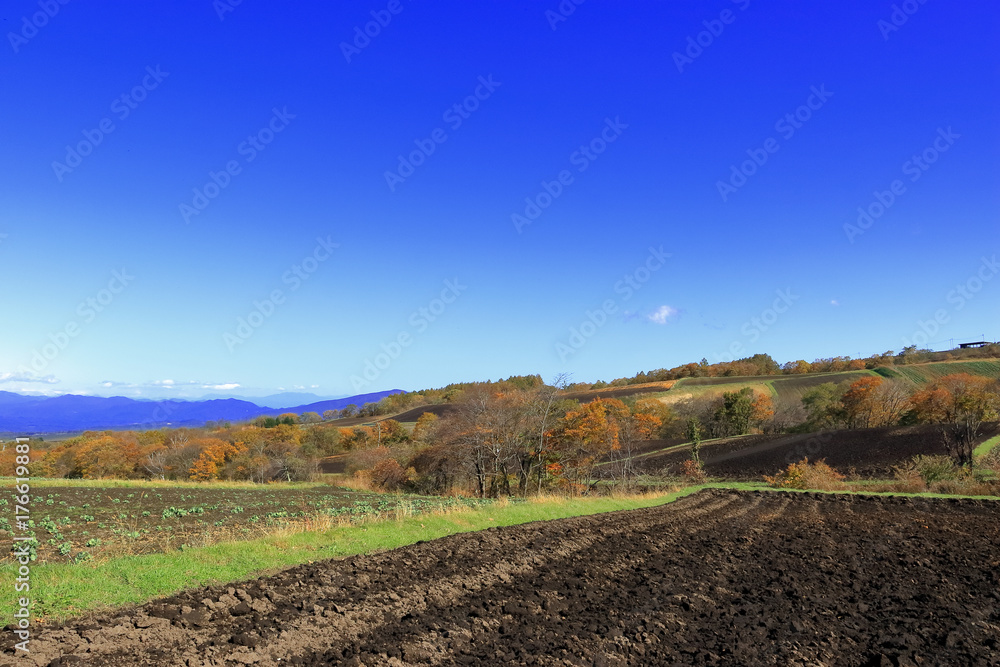 秋の嬬恋村 秋の嬬恋村