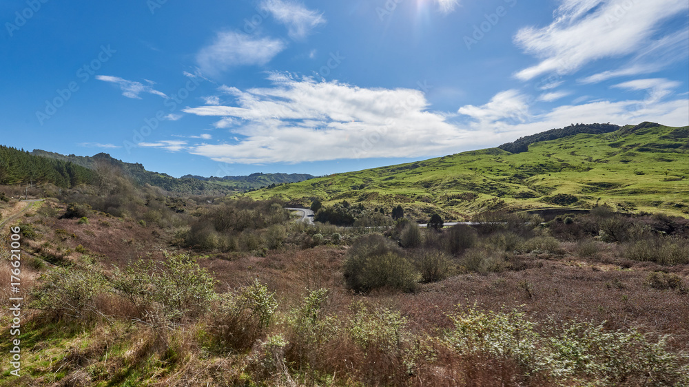 Idyllic countryside in New Zealand