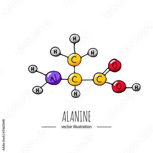 Alanine Structural Formula