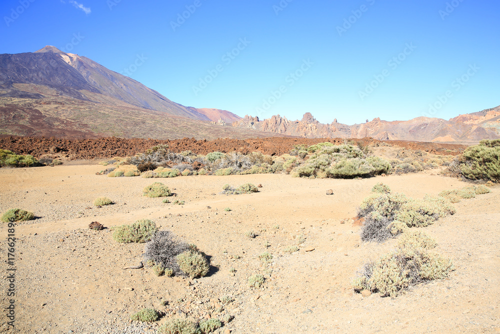 El Teide National Park on Tenerife Island, Canary Islands, Spain El Teide National Park on Tenerife Island, Canary Islands, Spain