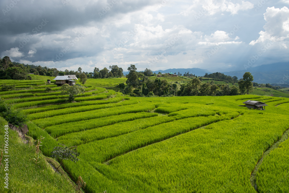 Beautiful green rice fields and bamboo hut on terraces in Thailand at Ban Pa Pong Pieng in Mae chaem, Chaing Mai.