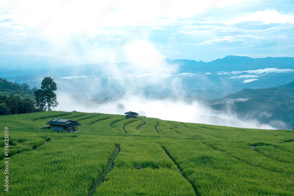Beautiful rice fields and mist on terraces on blue hour before night time in Thailand at Ban Pa Pong Pieng in Mae chaem, Chaing Mai.
