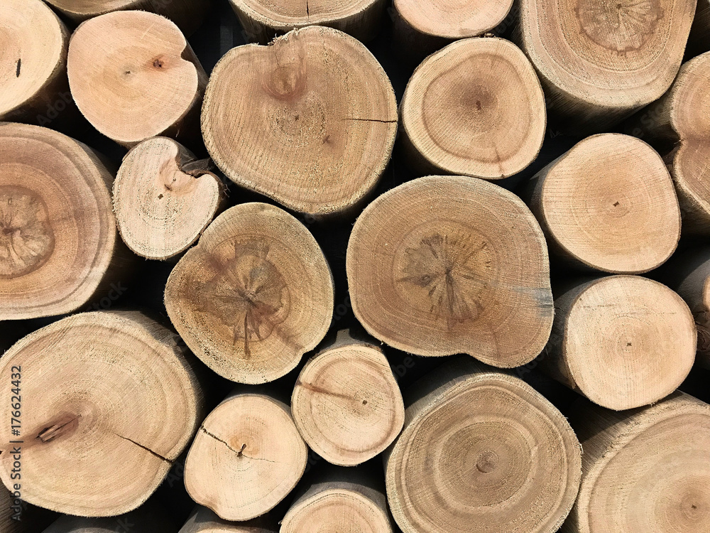 Wood logs pattern for texture and background, Storage of wood logs in industry for firewood Wood logs pattern for texture and background, Storage of wood logs in industry for firewood