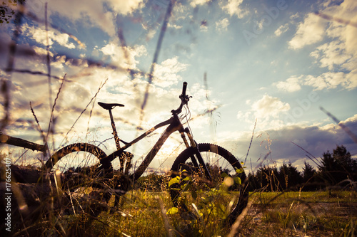 Mountain bike MTB on green summer forest trail, inspirational landscape